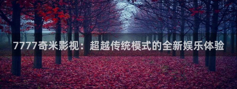 黑蚂蚁电视剧在线观看