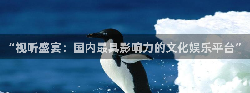 黑蚂蚁电影在线观看