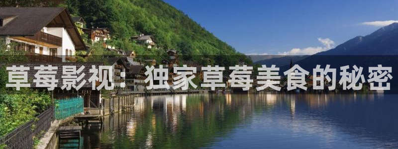 黑蚂蚁电视剧免费看
