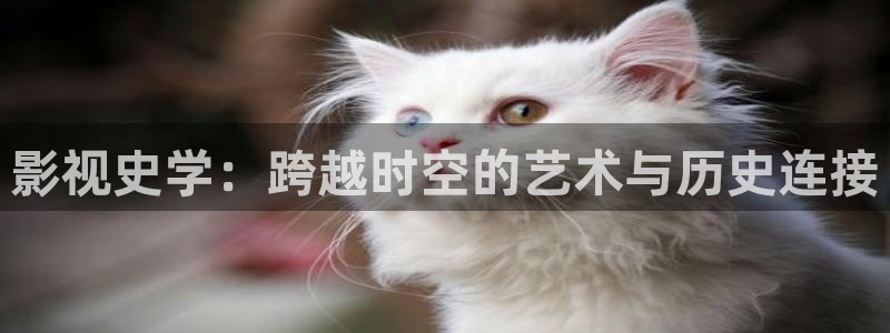 黑蚂蚁影院电视剧