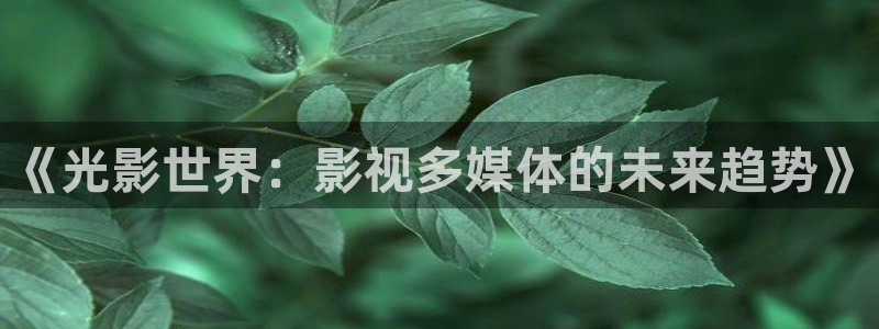 黑蚂蚁影视电视剧
