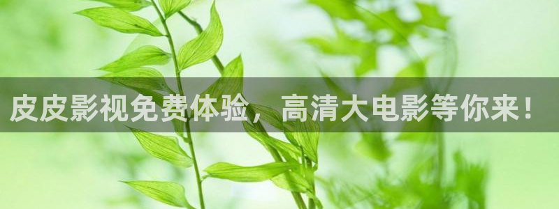 黑蚂蚁影视官网