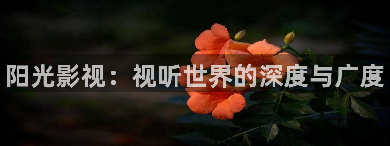 黑蚂蚁影院在线
