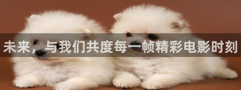 黑蚂蚁影音