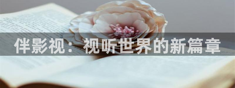 黑蚂蚁电视剧全集免费观看